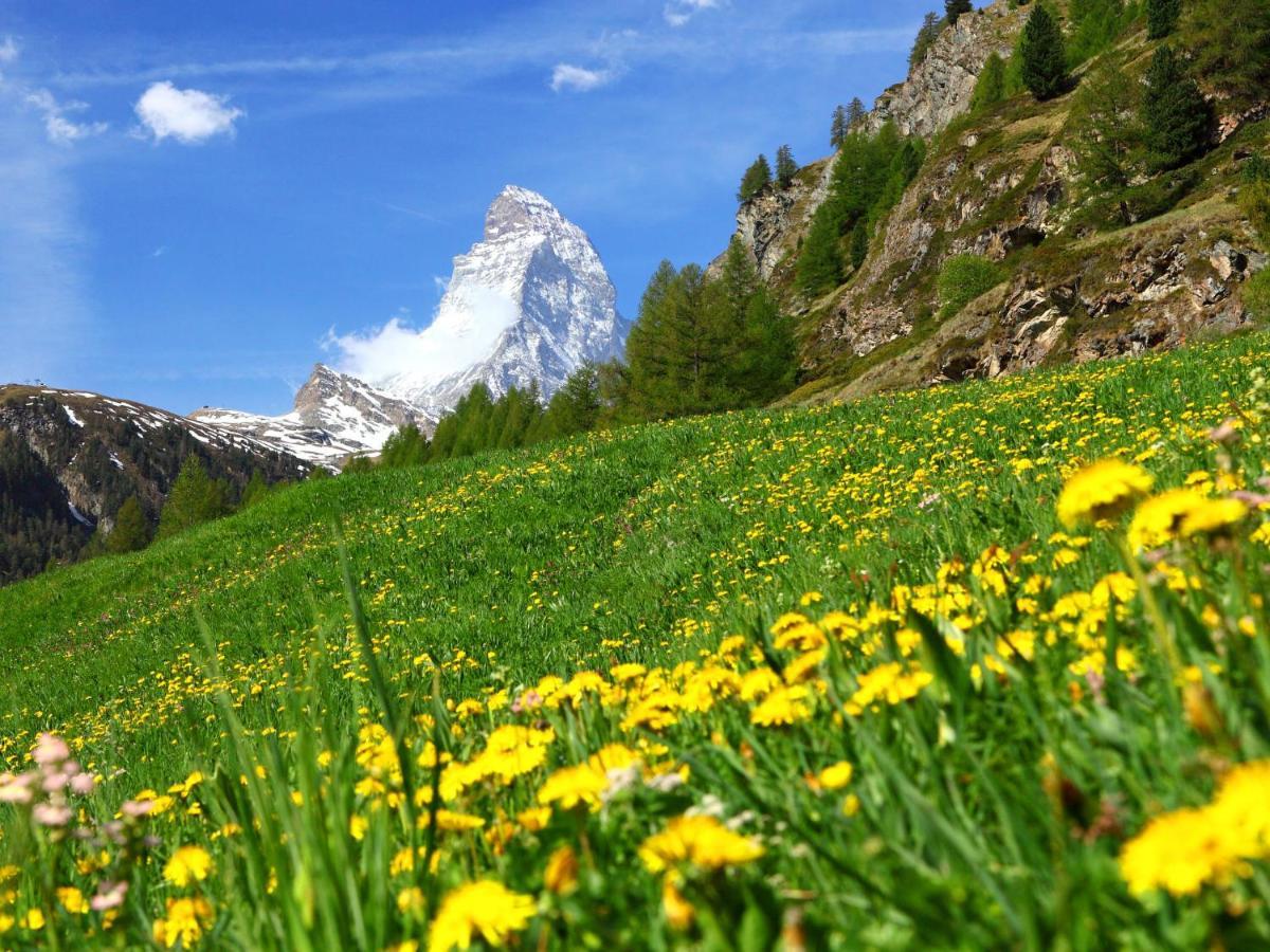 Apartment Zur Matte B-1 By Interhome Zermatt Esterno foto